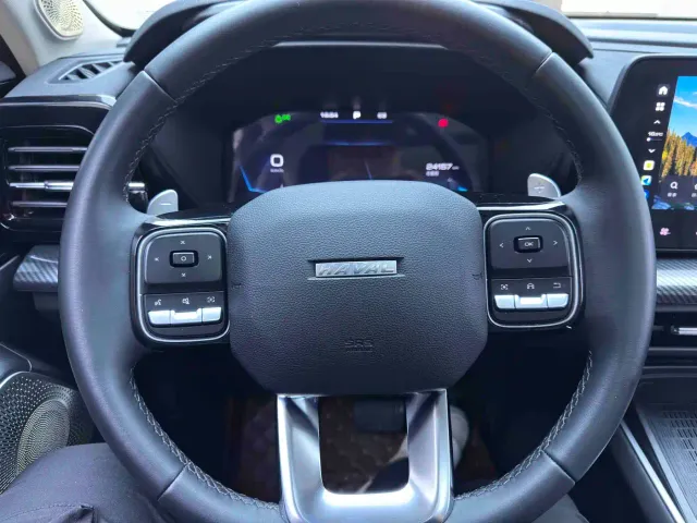 Haval Cool Dog — Фото автомобиля 17
