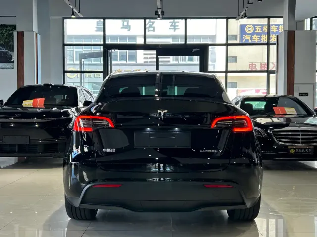 Tesla Model Y — Фото автомобиля 26