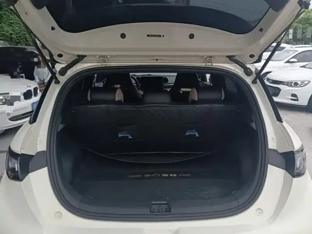 BYD Dolphin — Фото автомобиля 18