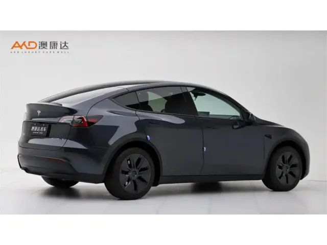 Tesla Model Y — Фото автомобиля 3
