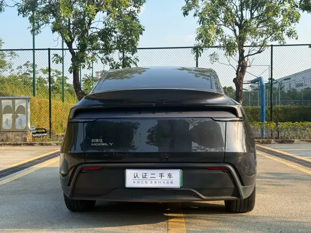 Tesla Model Y — Фото автомобиля 10