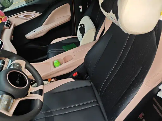 BYD Seagull — Фото автомобиля 11