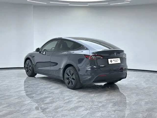 Tesla Model Y — Фото автомобиля 6