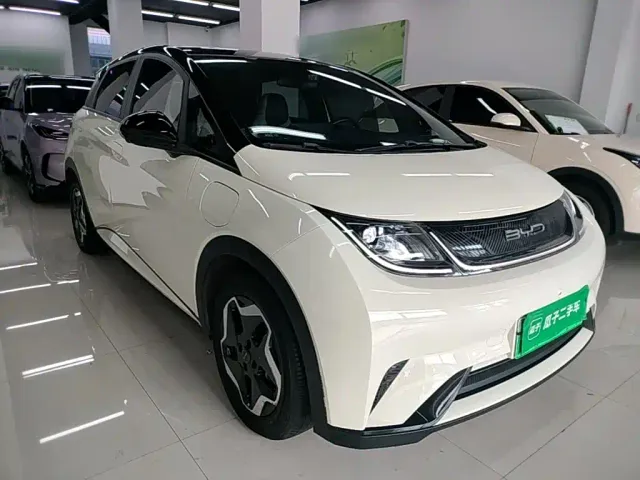 BYD Dolphin — Фото автомобиля 3