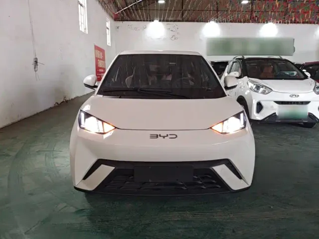 BYD Seagull — Фото автомобиля 2