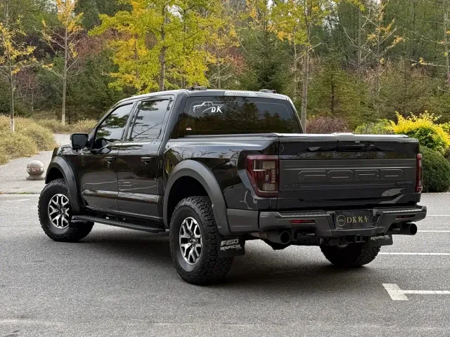 Ford F-150 Raptor — Фото автомобиля 5