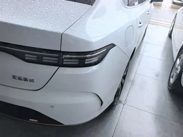 BYD Destroyer 05 — Фото автомобиля 7