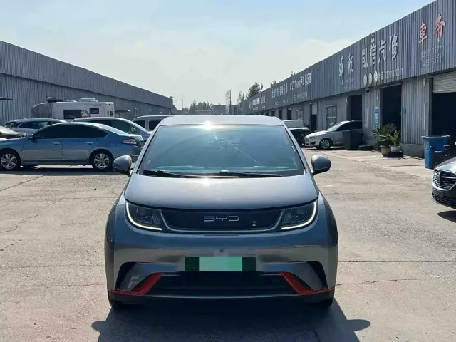 BYD Dolphin — Фото автомобиля 2