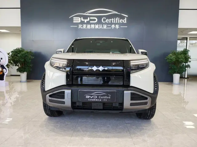 BYD FangChengBao Titanium 3 — Фото автомобиля 2
