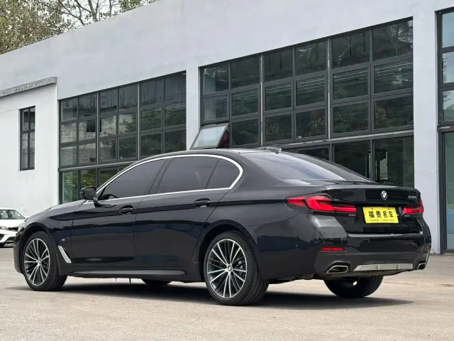 BMW 5 Series — Фото автомобиля 9