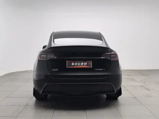 Tesla Model Y — Фото автомобиля 4