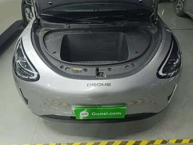 Geely Starry Wish — Фото автомобиля 19