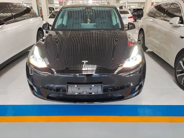 Tesla Model Y — Фото автомобиля 2