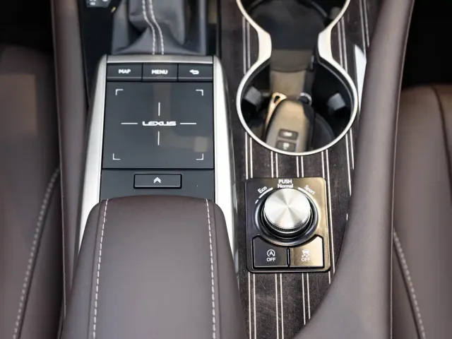 Lexus RX — Фото автомобиля 17
