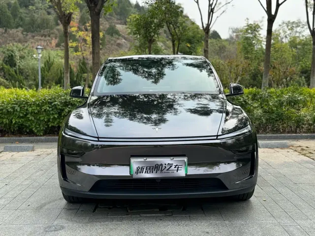Tesla Model Y — Фото автомобиля 2