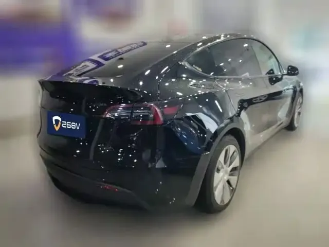 Tesla Model Y — Фото автомобиля 2