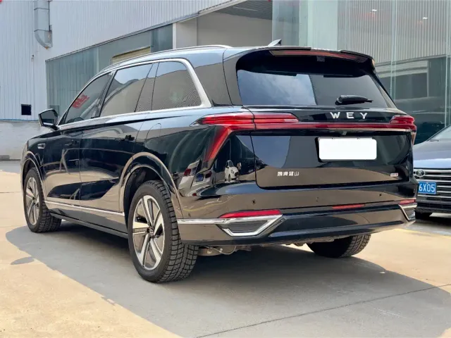 Wey Lanshan — Фото автомобиля 8