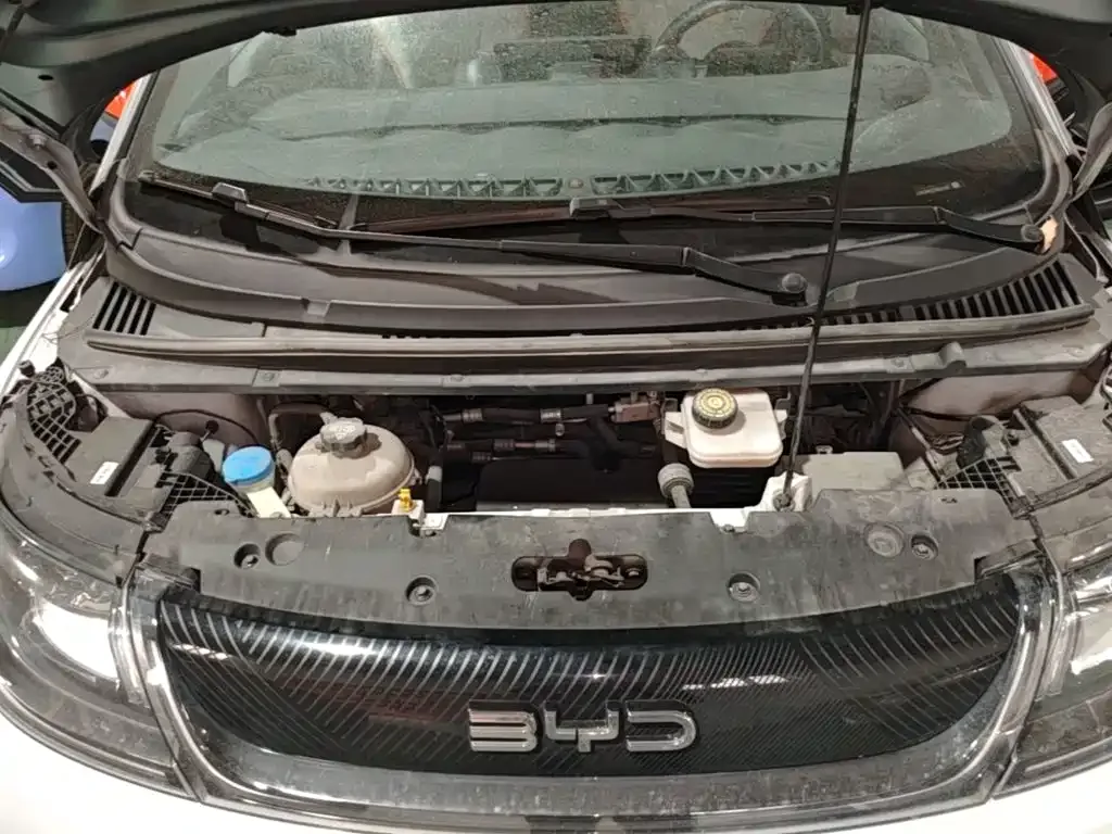 BYD Dolphin 2021 405km Freedom Edition — Фото автомобиля 19