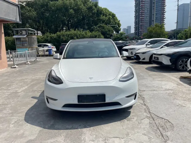 Tesla Model Y — Фото автомобиля 2