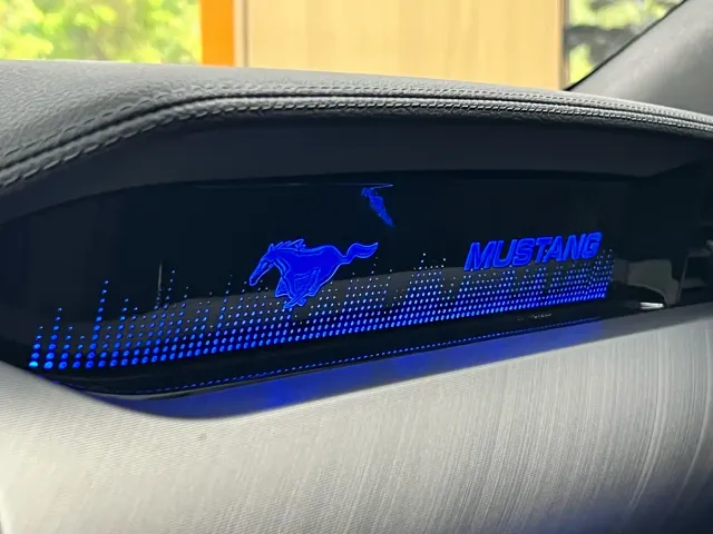 Ford Mustang — Фото автомобиля 20