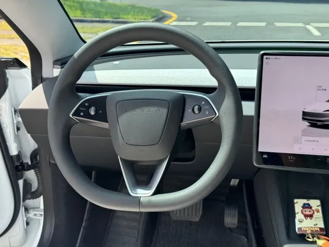 Tesla Model 3 — Фото автомобиля 5