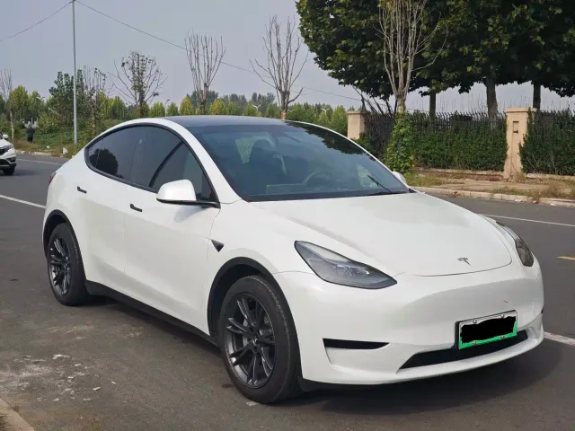 Tesla Model Y — Фото автомобиля 3