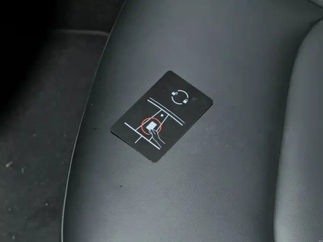 Tesla Model Y — Фото автомобиля 8