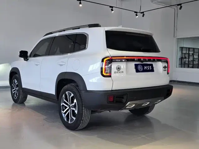 Haval Big Dog — Фото автомобиля 9