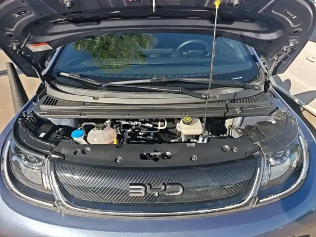 BYD Dolphin — Фото автомобиля 19