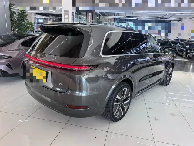 Li Auto L9 — Фото автомобиля 19