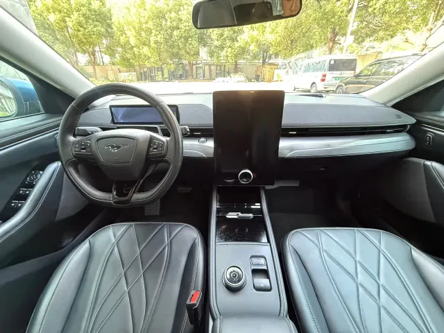 Ford Mustang Mach-E — Фото автомобиля 12