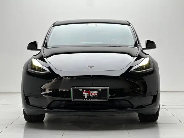 Tesla Model Y — Фото автомобиля 2