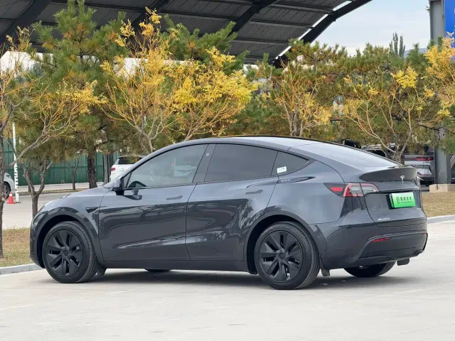 Tesla Model Y — Фото автомобиля 18