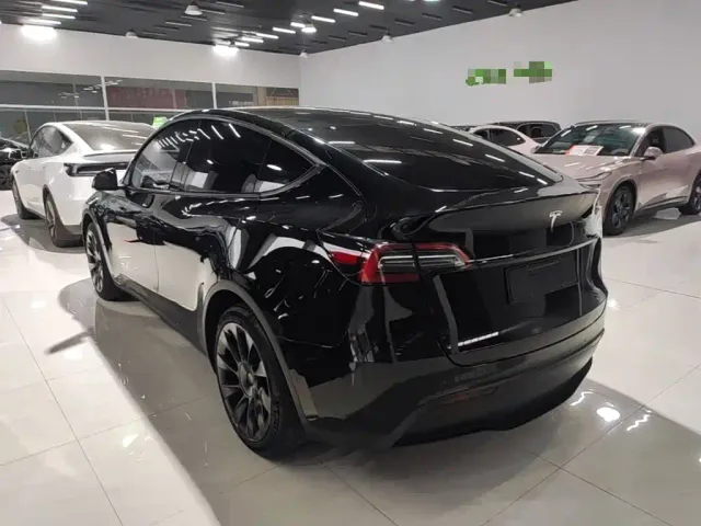 Tesla Model Y — Фото автомобиля 4