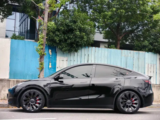 Tesla Model Y — Фото автомобиля 3