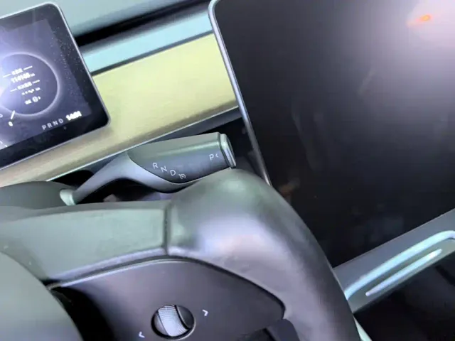 Tesla Model Y — Фото автомобиля 13