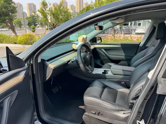 Tesla Model Y — Фото автомобиля 10