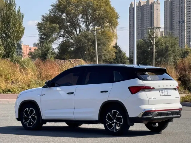 Skoda Kamiq — Фото автомобиля 6