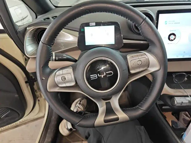 BYD Dolphin — Фото автомобиля 10