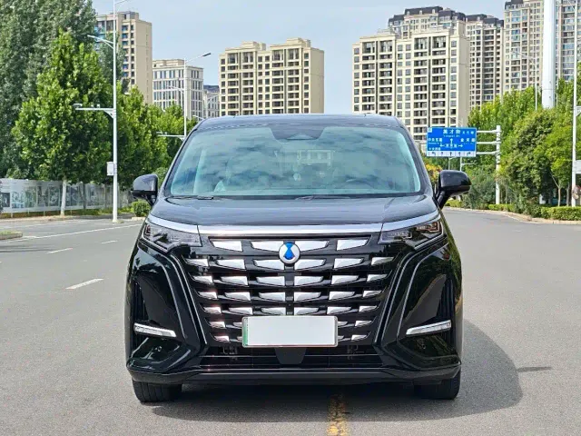 Denza D9 — Фото автомобиля 2