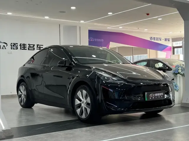 Tesla Model Y — Фото автомобиля 3