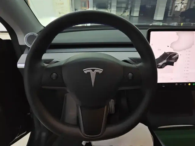 Tesla Model Y — Фото автомобиля 10