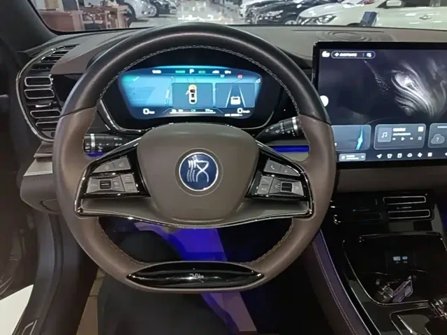 BYD Han — Фото автомобиля 10