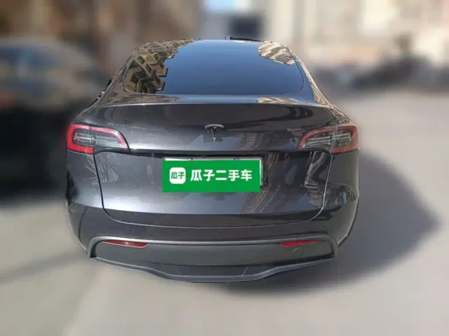 Tesla Model Y — Фото автомобиля 3