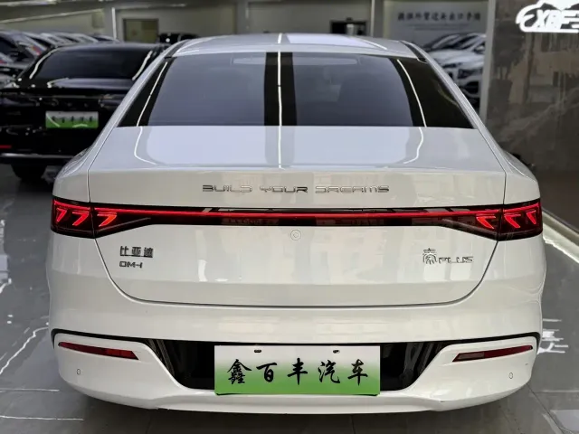 BYD Qin PLUS 2024 DM-i 120KM Navigation Glory Edition — Фото автомобиля 8