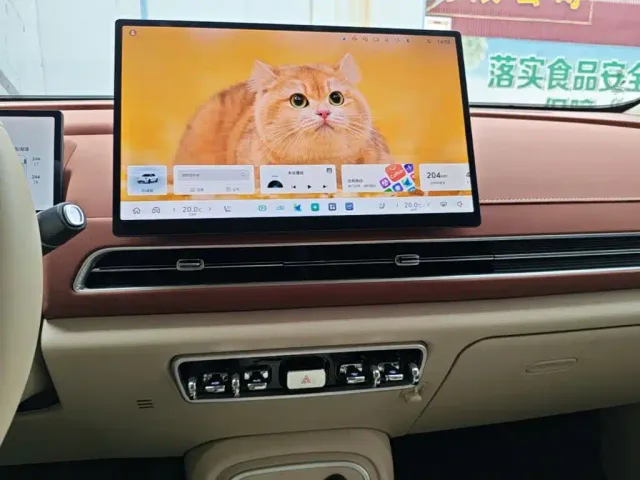 Ora Good Cat — Фото автомобиля 12