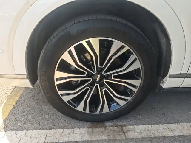 Wey Lanshan — Фото автомобиля 22