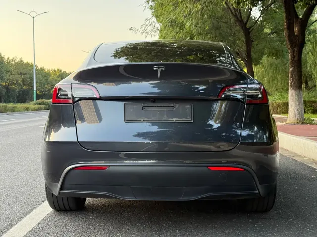 Tesla Model Y — Фото автомобиля 4