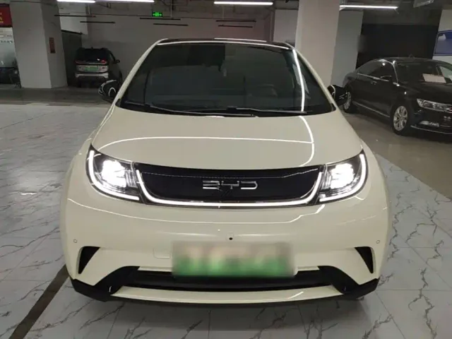 BYD Dolphin — Фото автомобиля 2