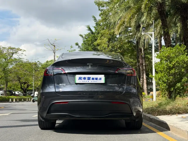 Tesla Model Y — Фото автомобиля 5